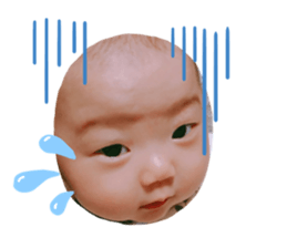 373449034