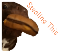 373464258