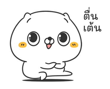เหมียวเพื่อนรัก : ง่ายๆ รูปที่ 14