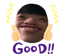 373541116
