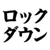 373543647