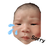 373557116