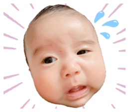 373635567
