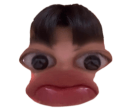 373652247