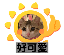 373656598