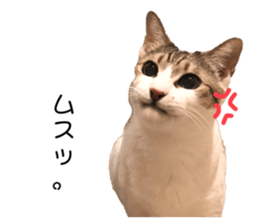 373687658