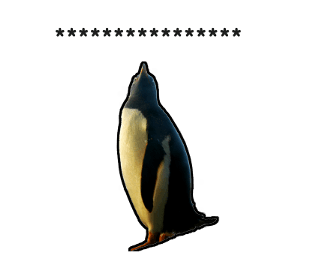 373732331
