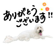 373741815