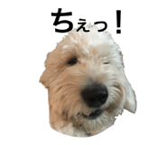 373741821