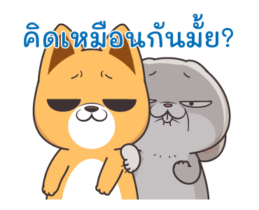 กระต่ายจอมป่วน : รู้ใจที่สุด รูปที่ 13
