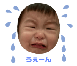 373844176