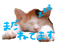 373857015