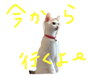 373857019