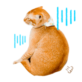 373893195