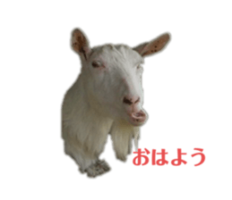 373896143