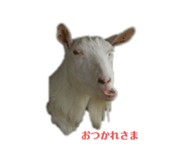 373896145