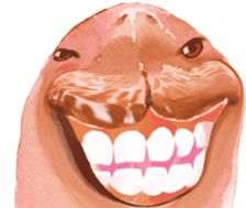 373968837