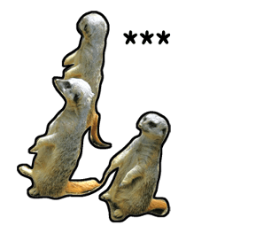 373986772