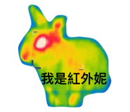 37401745