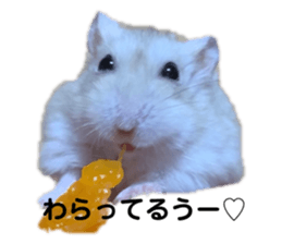 374037030