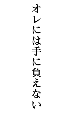 374127116