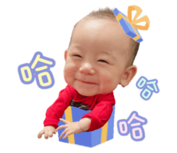 374207737