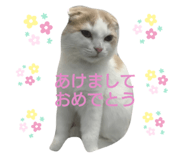 374210285
