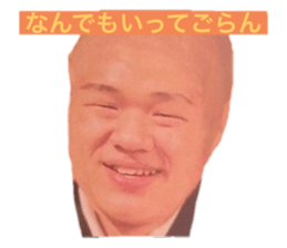 374250041