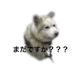 374271496