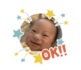 374306147