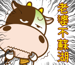 374328006