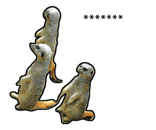 374365484