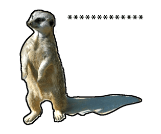 374365486