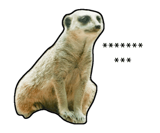 374365490