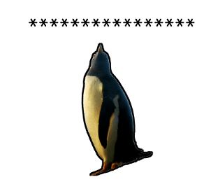 374365617