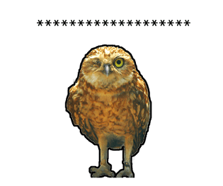374365622