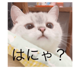 374365890