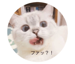 374365893