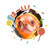 374374432