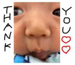 374420195