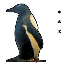 374435311