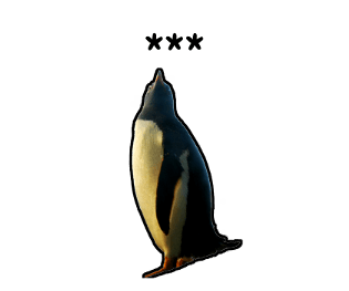 374435312