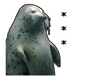 374435320