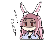 374481214
