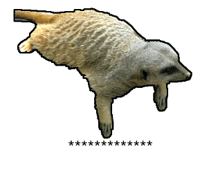 374481809