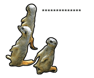 374481812