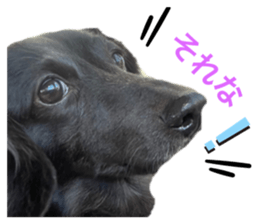 374513009