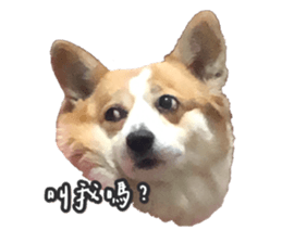 374517894