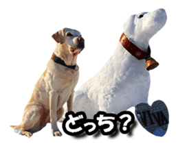 374529356