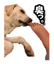 374529366